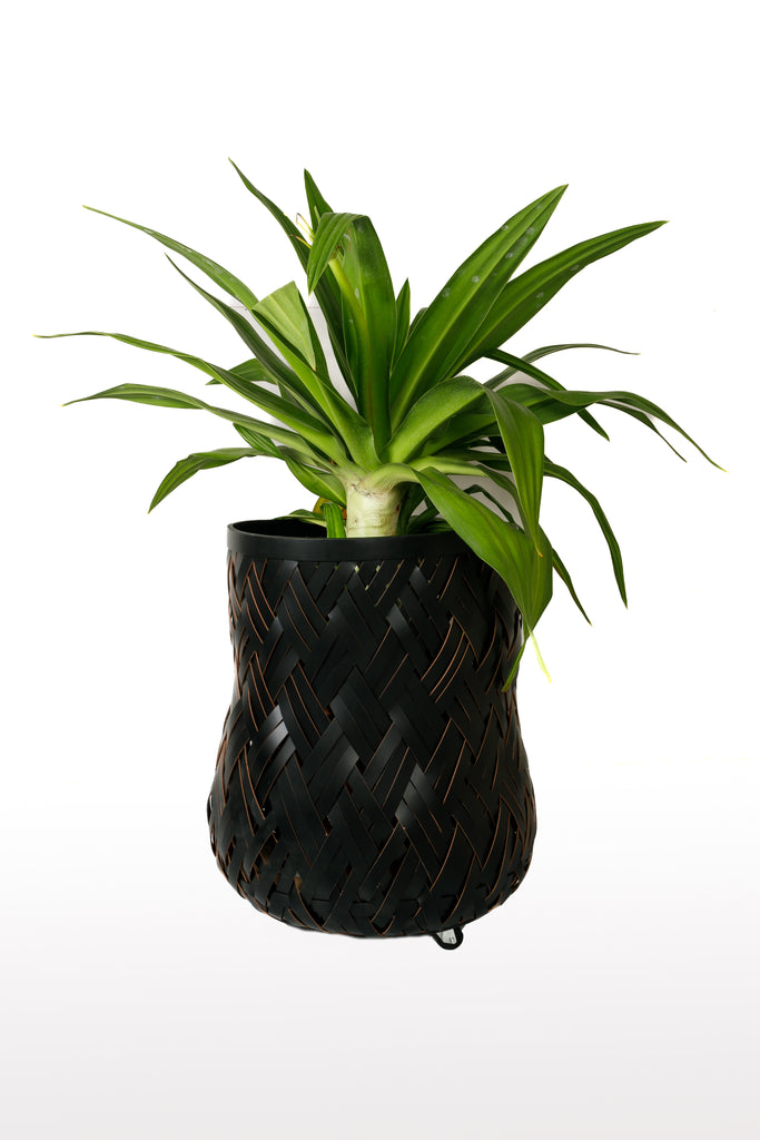 Leather Wrapped Planters Black