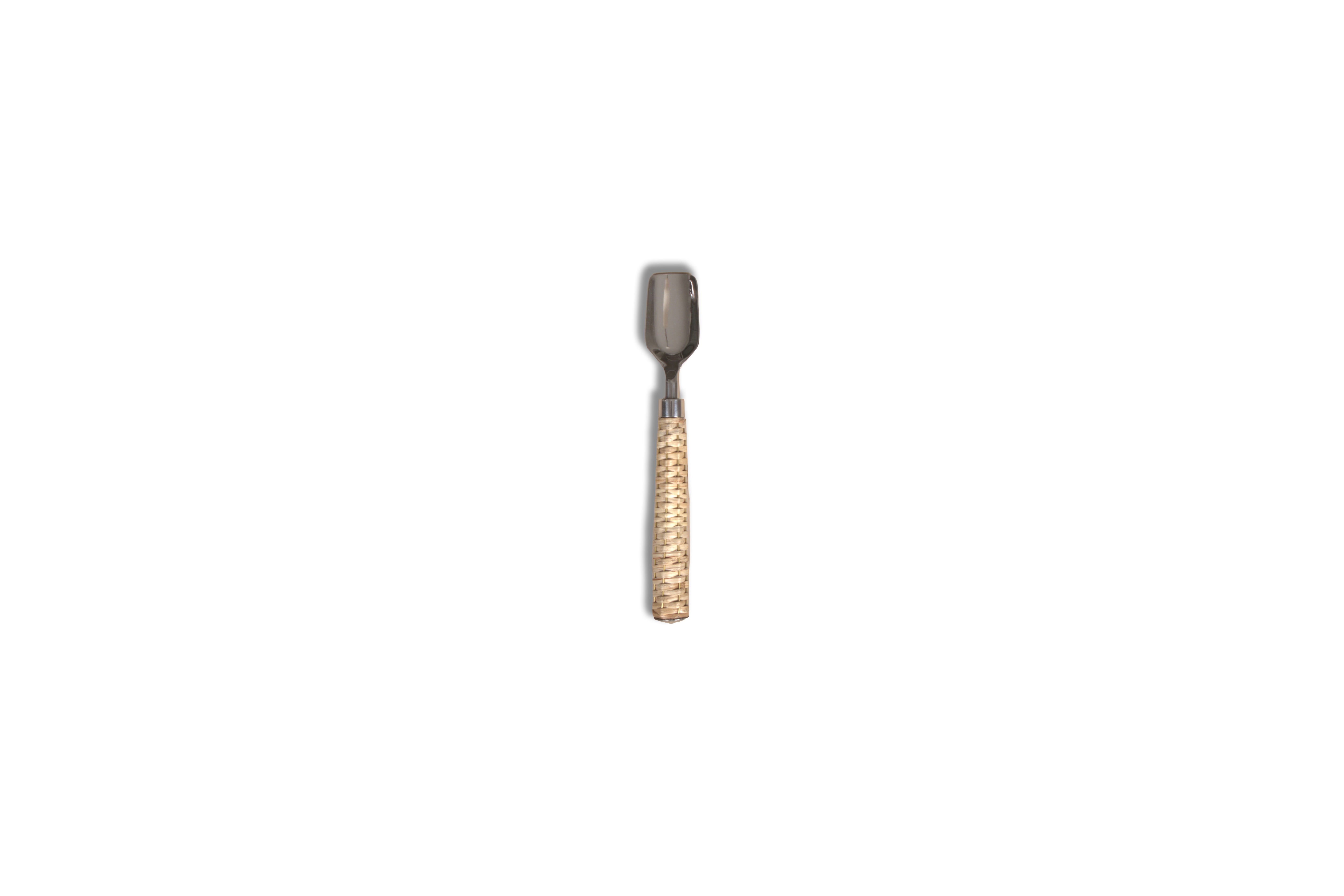 Casa Cane Ice Cream Spoon