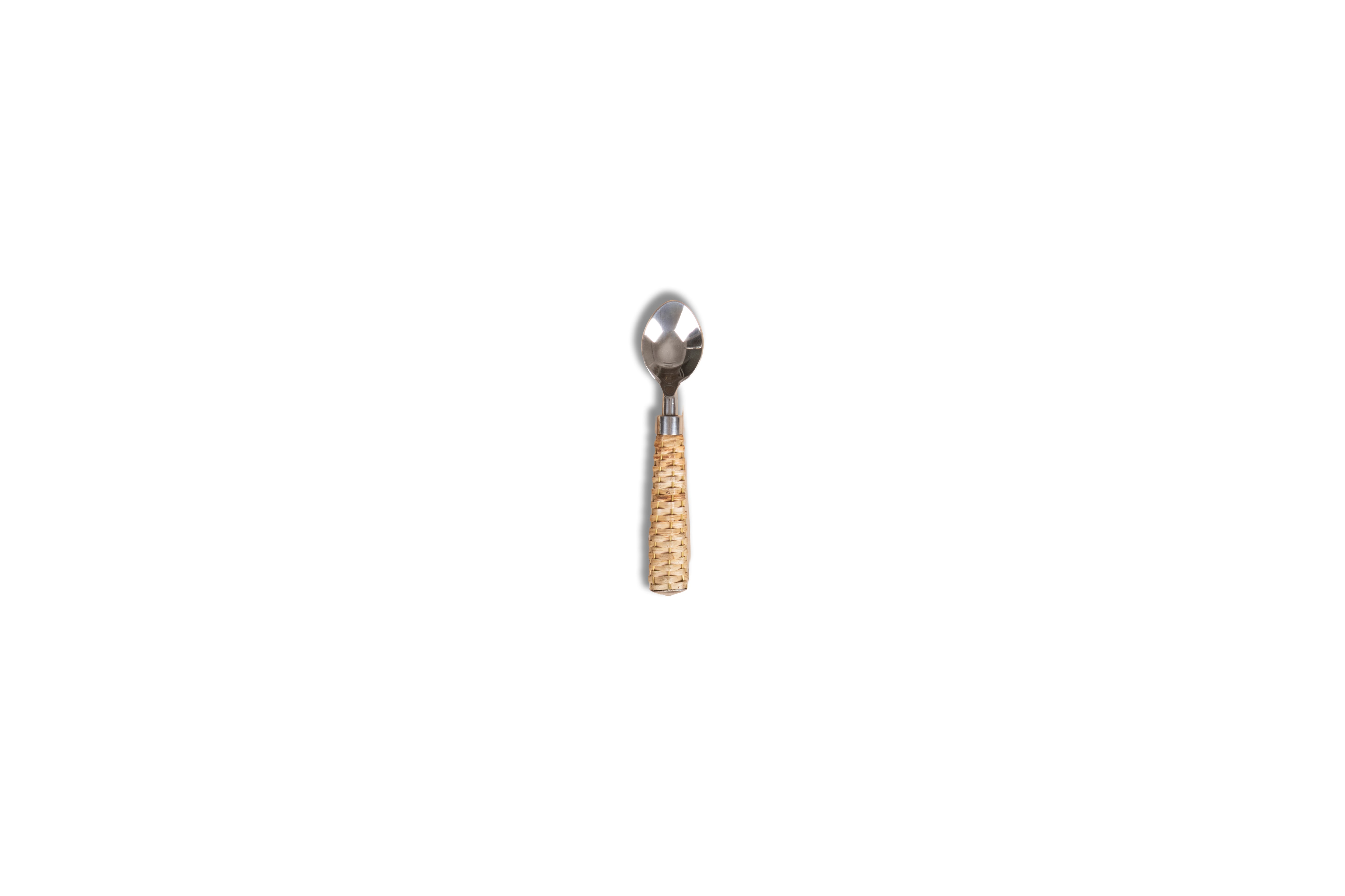 Casa Cane Tea Spoon