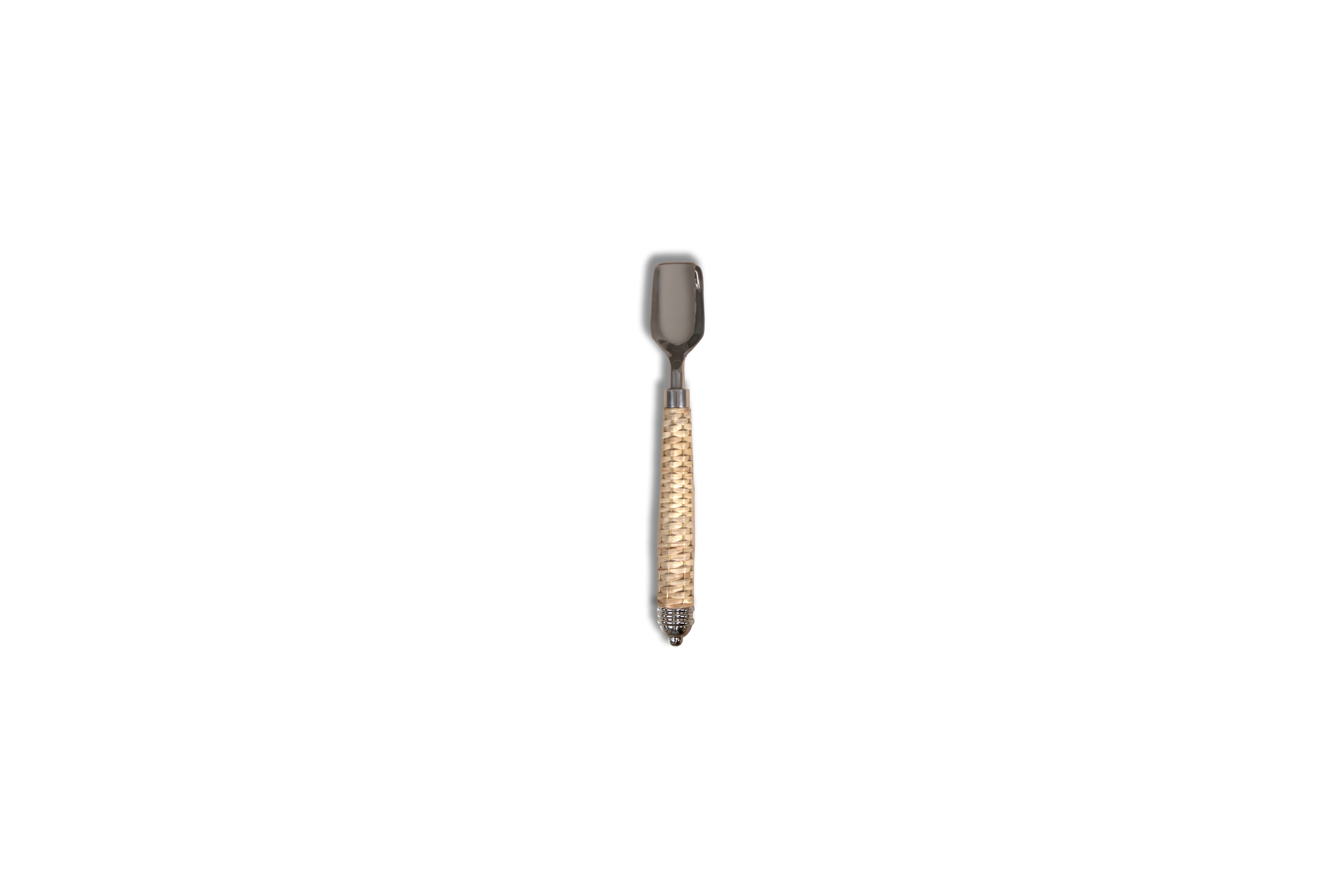 Casa Cane Ice Cream Spoon