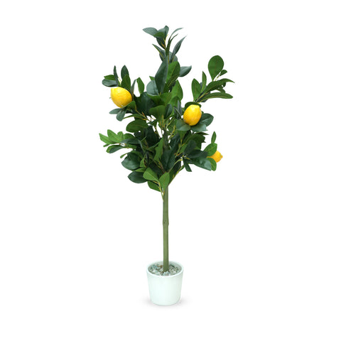 Bella Lemon Tree Centre Piece (5 lemons)